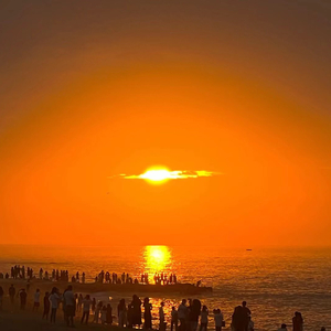 东北夫妻成人视频
