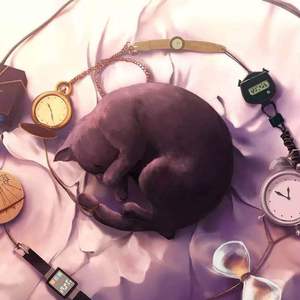 东北夫妻成人视频
